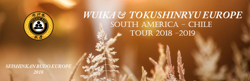 SOUTH AMERICA - CHILE TOUR 2018 -2019 OFFICIAL