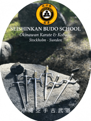 SEISHINKAN Budo School - Stockholm Sweden